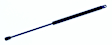 612209 Driver or Passenger Side Liftgate Lift Support, Sold Individually