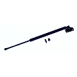 612215 Driver or Passenger Side Liftgate Lift Support, Sport Utility, Sold Individually