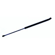 612244 Driver or Passenger Side Hood Lift Support, Sport Utility, Sold Individually