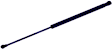612254 Driver or Passenger Side Liftgate Lift Support, Base Wagon, Sold Individually