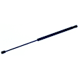2000 Ford Focus - Driver or Passenger Side Lift Support Liftgate, 4-Door; Wagon; For Liftgate, Wagon