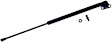 612271 Driver Side Liftgate Lift Support, Sport Utility
