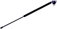 612272 Passenger Side Liftgate Lift Support, Sport Utility