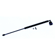 612323 Driver or Passenger Side Trunk Lid Lift Support, Coupe, Sold Individually