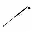 612323 Driver or Passenger Side Trunk Lid Lift Support, Coupe, Sold Individually