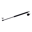 612324 Driver or Passenger Side Trunk Lid Lift Support, Coupe, Sold Individually
