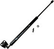 612324 Driver or Passenger Side Trunk Lid Lift Support, Coupe, Sold Individually