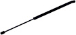 612710 Driver or Passenger Side Liftgate Lift Support, Sport Utility, Sold Individually