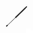 612711 Driver or Passenger Side Liftgate Lift Support, Sport Utility