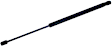 612712 Driver or Passenger Side Liftgate Lift Support, Sport Utility, Sold Individually