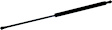 612714 Driver or Passenger Side Hatch Lift Support, Hatchback, Sold Individually