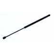 612824 Driver or Passenger Side Hood Lift Support, Sedan, Sold Individually