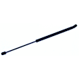 612846 Driver or Passenger Side Hood Lift Support, Sedan, Sold Individually