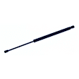 2000 Honda Accord - Driver or Passenger Side Lift Support Hood, 2-Door; Coupe; For Hood, Coupe