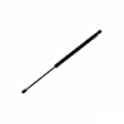 2000 Honda Accord - Driver or Passenger Side Lift Support Hood, 2-Door; Coupe; For Hood, Coupe