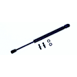 2004 Toyota 4Runner - Driver or Passenger Side Lift Support Hood, 4-Door; Sport Utility; For Hood, Sport Utility