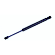 613162 Driver or Passenger Side Back Glass Lift Support, Sport Utility, Sold Individually