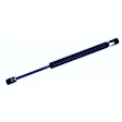 613176 Driver or Passenger Side Liftgate Lift Support, Hatchback, Sold Individually