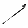 613363 Driver or Passenger Side Hood Lift Support, Sold Individually