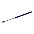 2012 Honda Crosstour - Driver or Passenger Side Lift Support Hood, 4-Door; Hatchback; For Hood, Hatchback