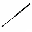 2012 Honda Crosstour - Driver or Passenger Side Lift Support Hood, 4-Door; Hatchback; For Hood, Hatchback
