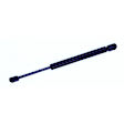 613526 Driver or Passenger Side Glass Lift Lift Support, Sport Utility, Sold Individually
