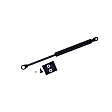 613577 Driver or Passenger Side Hood Lift Support, Coupe, Sold Individually