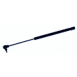 613581 Driver or Passenger Side Glass Lift Lift Support, Sport Utility, Sold Individually