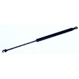 613613 Driver or Passenger Side Trunk Lid Lift Support, Sedan, Sold Individually
