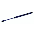 613710 Driver or Passenger Side Hood Lift Support, Sedan, Sold Individually