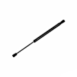 613710 Driver or Passenger Side Hood Lift Support, Sedan, Sold Individually
