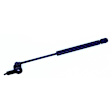 613779 Driver Side Hood Lift Support, Sold Individually
