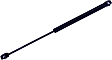 613783 Driver or Passenger Side Hood Lift Support, Base Coupe, Sold Individually