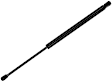 613787 Driver or Passenger Side Trunk Lid Lift Support, Base Sedan, Sold Individually