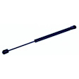 613793 Driver or Passenger Side Hood Lift Support, Sold Individually