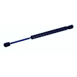 613838 Driver or Passenger Side Trunk Lift Support, Sedan, Sold Individually
