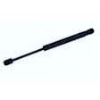 2009 Chrysler 300 - Driver or Passenger Side Lift Support Hood, 4-Door; Sedan; mfrbodycodename : LX; For Hood, Sedan