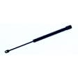 613881 Driver or Passenger Side Trunk Lift Support, Convertible, Sold Individually