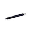 613936 Driver Side Liftgate Lift Support, Sport Utility, Sold Individually
