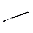 613952 Driver or Passenger Side Trunk Lid Lift Support, Sport Utility, Sold Individually