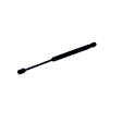 614032 Driver or Passenger Side Hood Lift Support, Sport Utility, Sold Individually