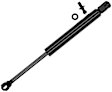 614045 Driver or Passenger Side Trunk Lid Lift Support, Base Coupe, Sold Individually