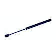 614071 Driver or Passenger Side Trunk Lift Support, Sedan, Sold Individually