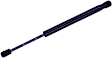 614123 Driver or Passenger Side Trunk Lid Lift Support, Coupe, Sold Individually