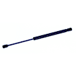 614179 Driver or Passenger Side Hood Lift Support, Sport Utility, Sold Individually