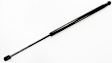2019 Chevrolet Corvette - Driver or Passenger Side Lift Support Trunk Lid, 2-Door, Convertible
