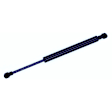 614210 Driver or Passenger Side Trunk Lift Support, Sold Individually