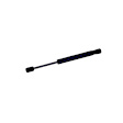 614326 Driver or Passenger Side Liftgate, Wagon