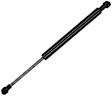 614394 Driver or Passenger Side Trunk Lid Lift Support, Sedan, Sold Individually