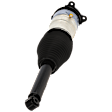 Rear, Driver Side Air Strut, AWD